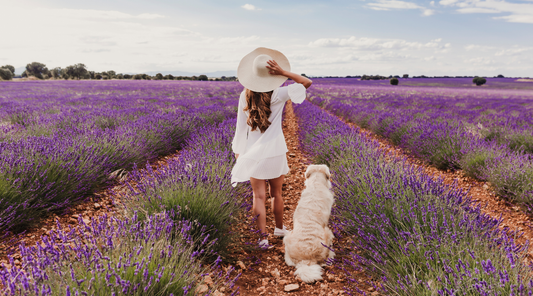 The Perfect Pair: How Our Lavender & Patchouli Candle Helps You Find Tranquility