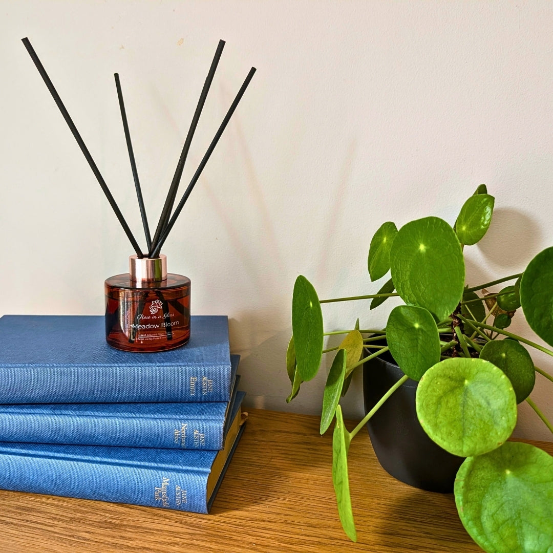 Meadow Bloom Aromatherapy reed diffuser on classic literature books for a tranquil home environment