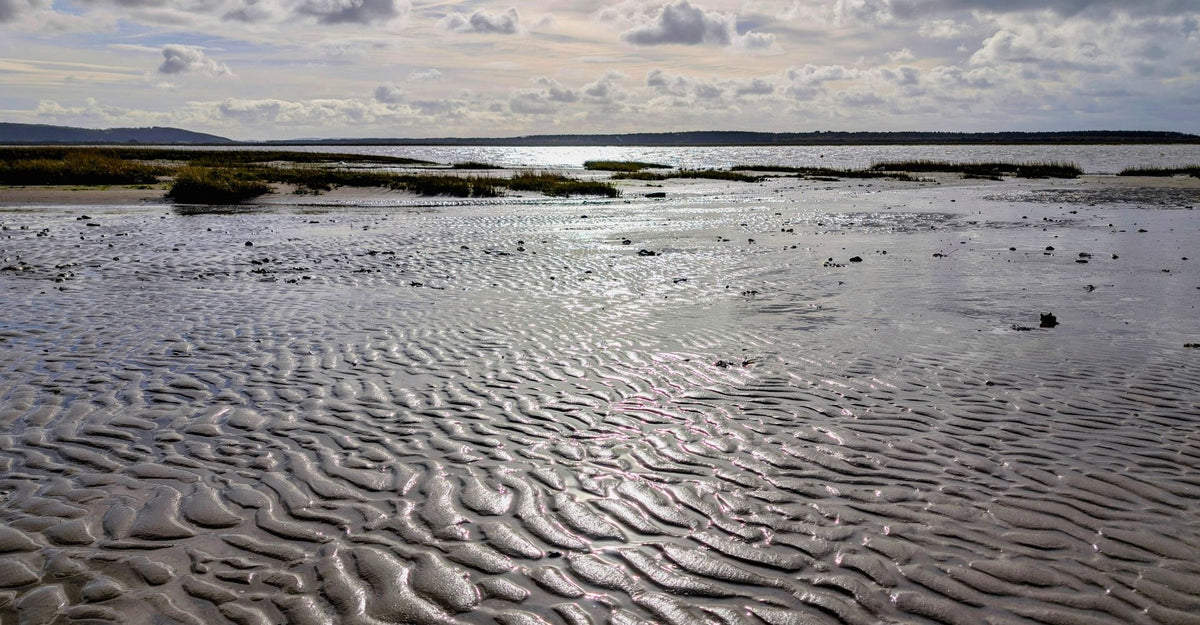 A wide landscape photograph of a tidal flat or shallow marsh with rippled wet sand in the foreground, water channels, distant lowlands, and a cloudy sky reflecting on the surface.